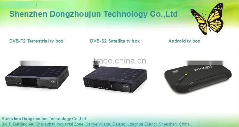 Vmade DZ100 small size cheap iptv dvb s2 tv receiver Universal