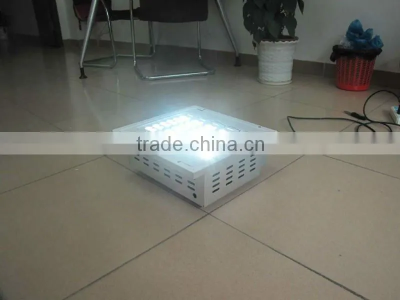 Gas Station Lighting Canopy LED IP65,Mean Well power,Cree lamp