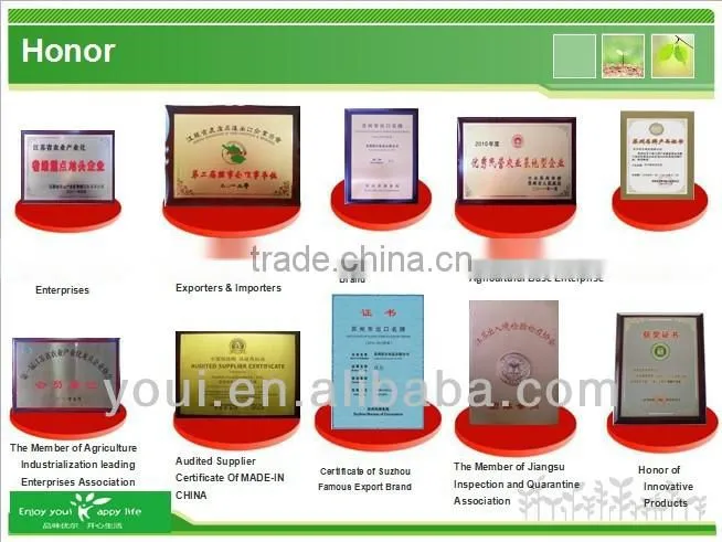 Strawberry Wasabi Flavor Green Peas Green Peas Manufacturer