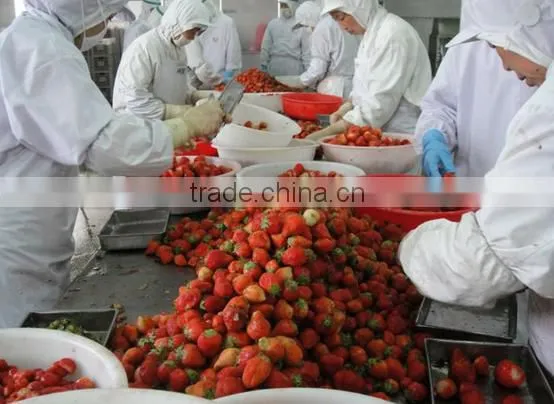 Frozen Strawberry best selling products