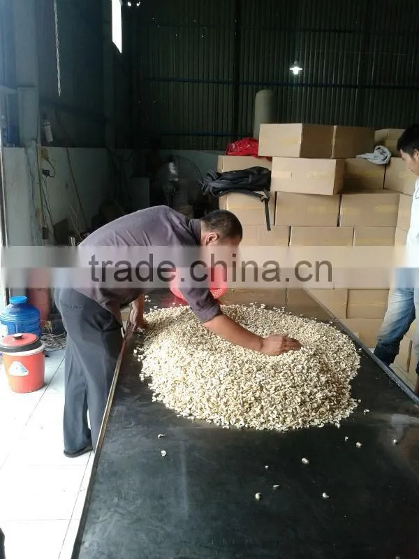 VIETNAM CASHEW NUT