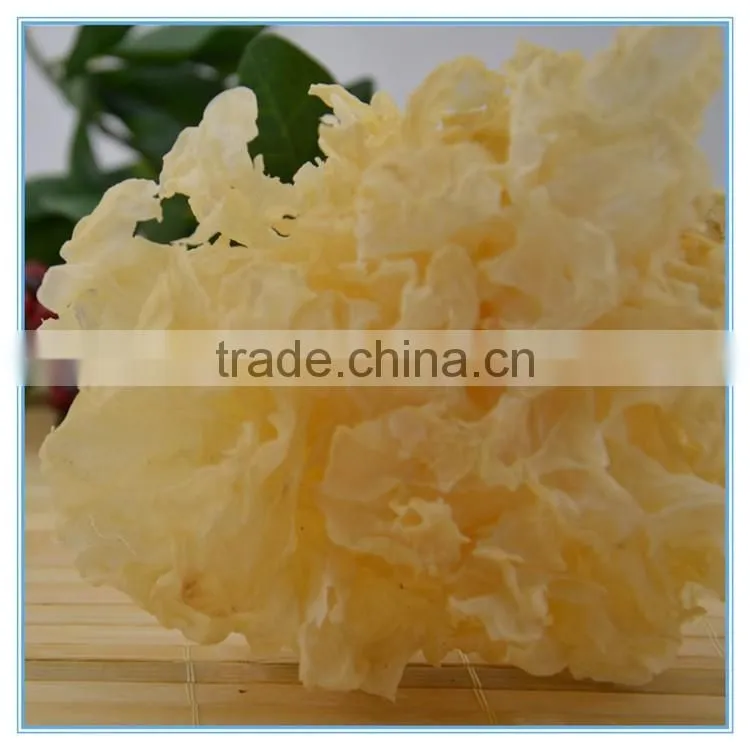 Dried White Wood Ear Fungus