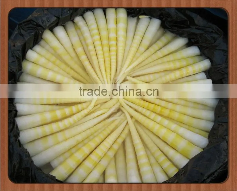 Bamboo Shoot