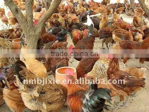 shrimp-shell Meal making machine for animal dog,pig,duck,chicken,cattle, fowl, Goose feed