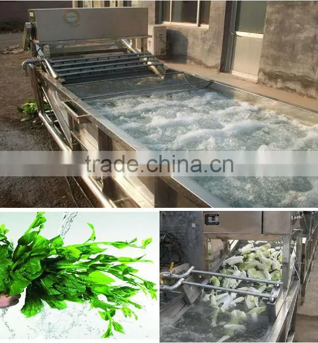 Brush vegetable washing machine /Automatic vegetable washing machine