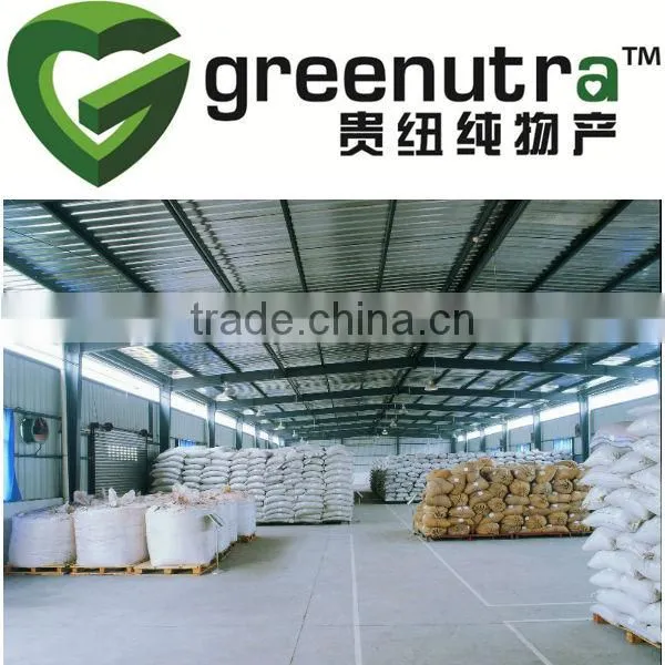 Stevia Extraction Unit