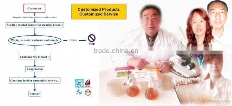 ZYM-F17 trepang feed fermentation bacteria