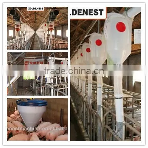 Goldenest High quality cheap price automatic farrowing crate for pigs sow sty farming equipment for sale