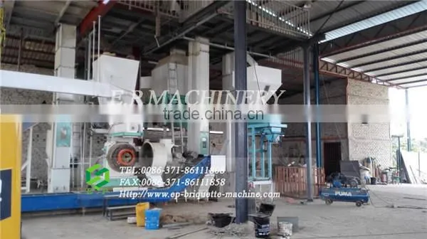 Low price 1 t/h wood pellet line/ pellet line hot selling in Malaysia