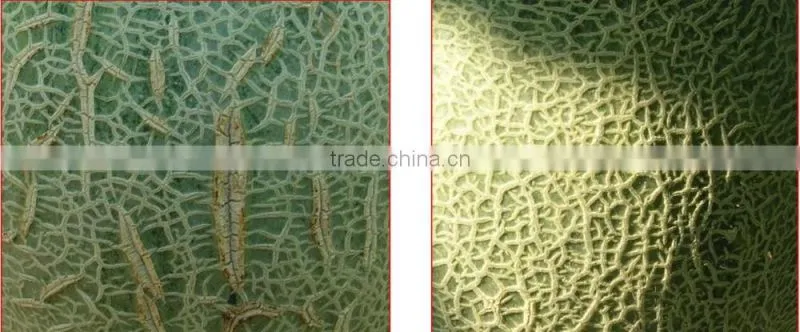 Calcium Ammonium Nitrate fertilizer /CAN CAS No.13477-34-4