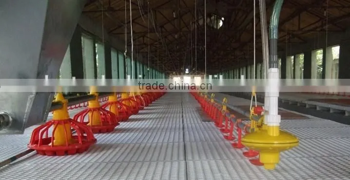 Russia best selling plastic slat for duck goose poultry