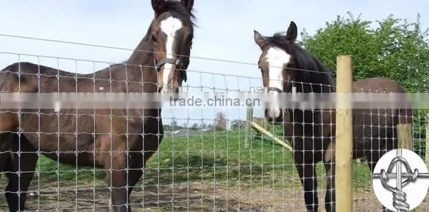 Hinge Joint Lowes Hog Wire Fencing/Fixed Knot Animal Fence/Square Deal Fencing V Mesh for Livestock