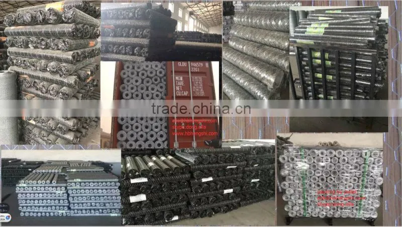 Hexagonal Mesh/Hexagonal Wire Mesh