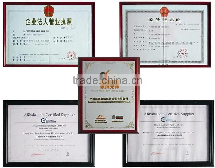 2013 Hot sales home use blue 5g ozone generator