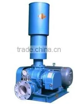 three lobe root's pump