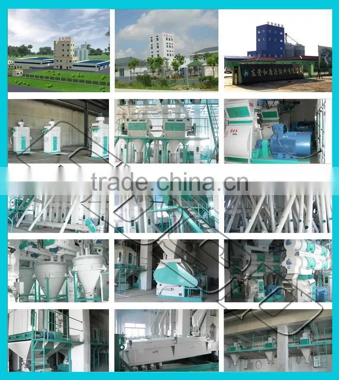 Groundnut fine grinding equipment bone pulverizing facility 30tph