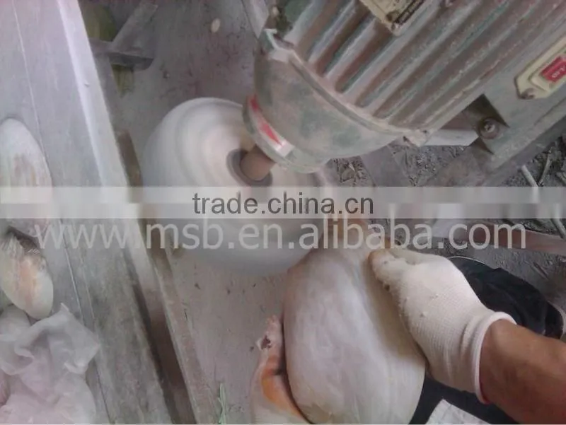 natural white Polished chinese river shells