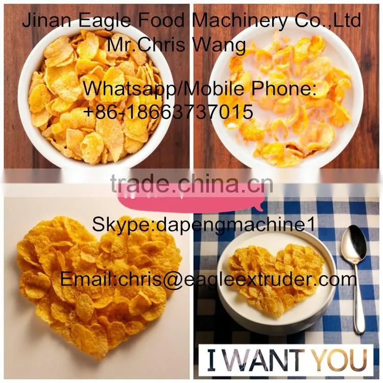 small snack food machine/snack extruder