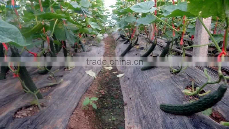 Factory price plastic covered commercial greenhouses