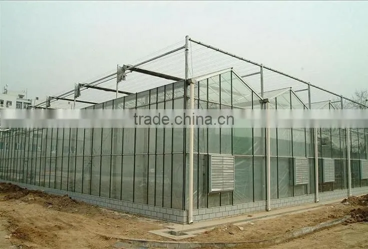 hot sale glass grow tent/green house shade green house design