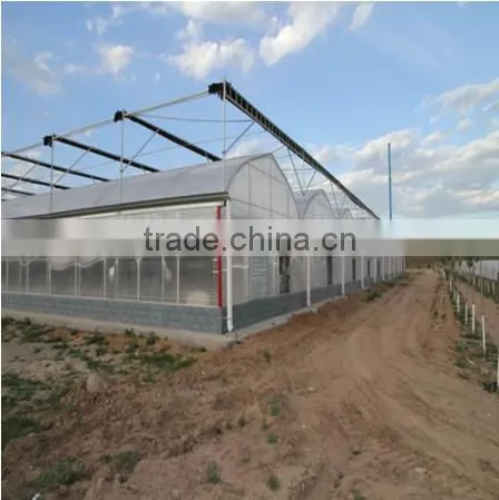 mushroom greenhouse for agriculture with galvanized steel
