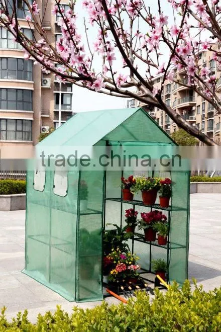 Large Walk-in Greenhouse with 4 Windows