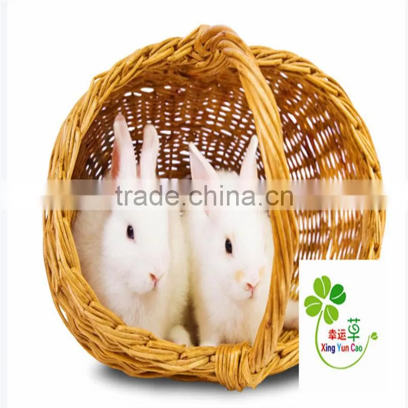 white wicker basket with handle Wicker basket of eggs
