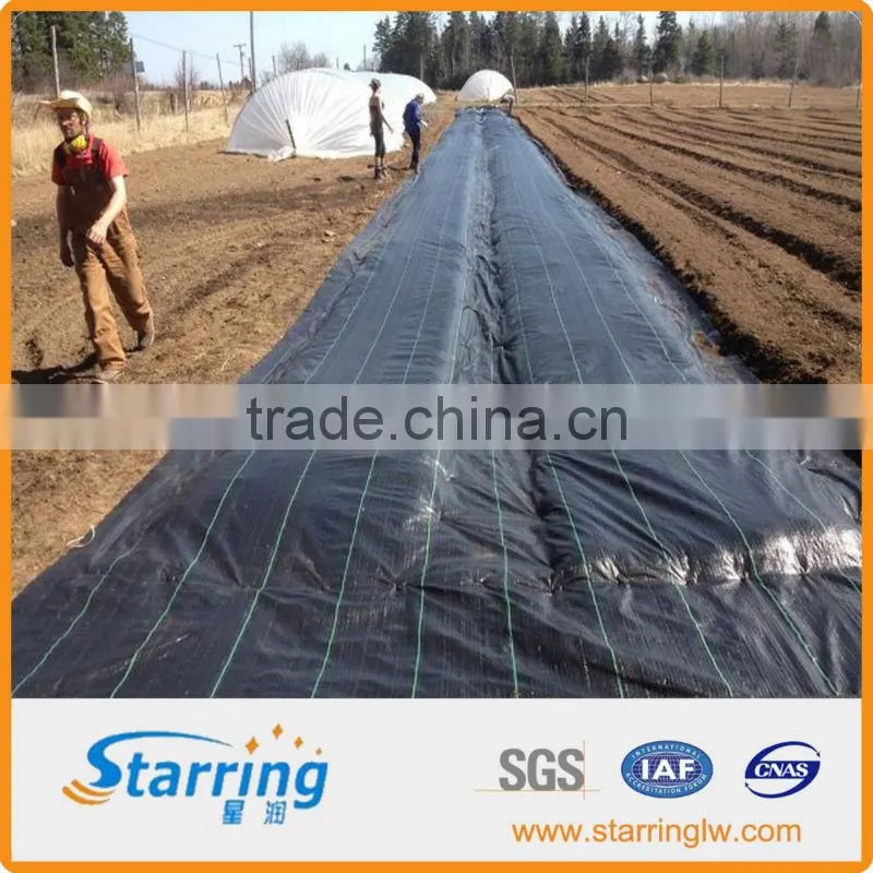 2x100mWeed Control Landscape Fabric Driveway Patio Decking Ground Cover 100g