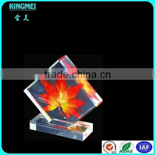 China factory custom embedded acrylic awards embedded objects in acrylic