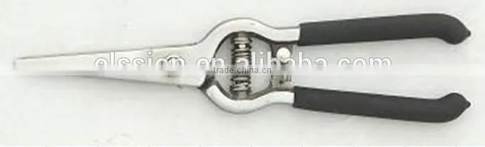 8" Fruit Picking scissors pruning shears