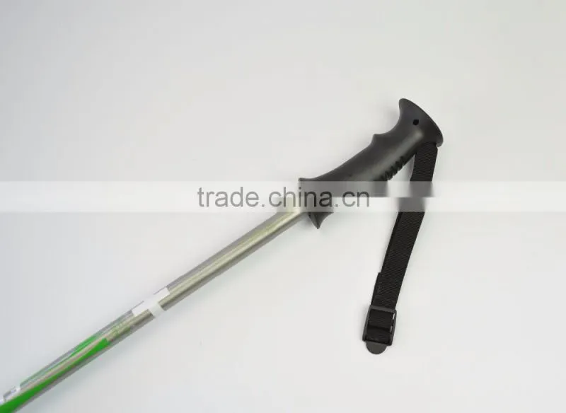 Alpine ski pole