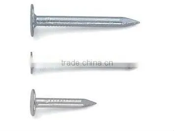 galvanized clout nails with flat head/ clout nail roofing nails