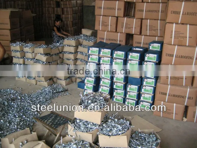 roofing nails/roofing nail supplies