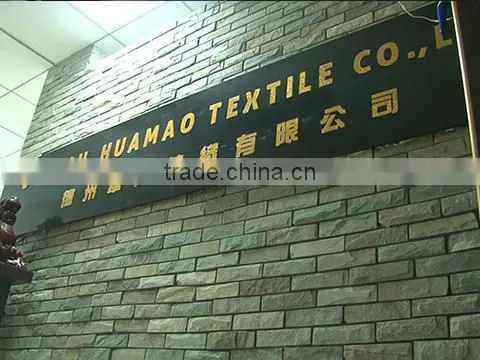Dezhou Huamao Textile Co., Ltd. company overview - view 1