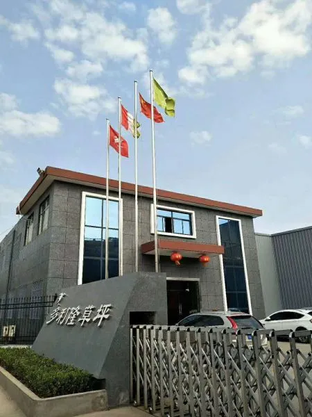 Xi An Dorelom Sports Lawn Co,. Ltd company overview - view 2
