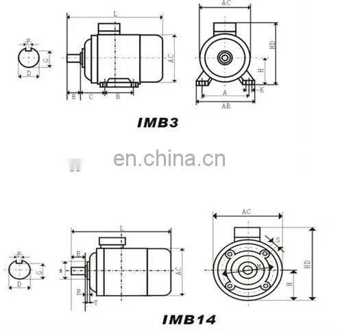 THREE PHASE ELECTRIC MOTOR