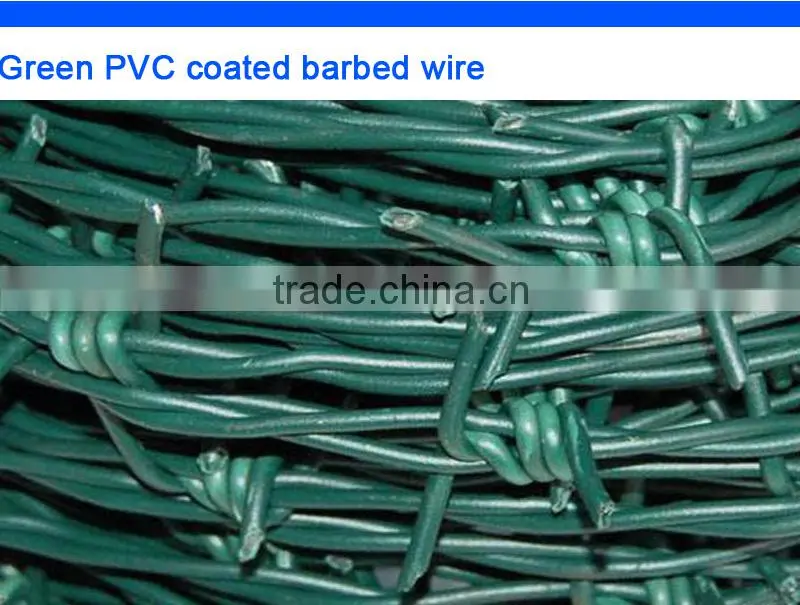 protection hot dip 14 gauge galvanized barbed wire