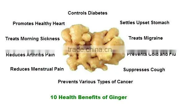 Fresh Ginger/