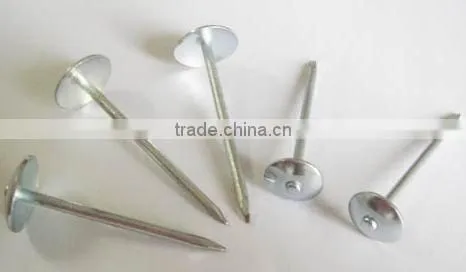 twisted umbrella head roofing nail factory