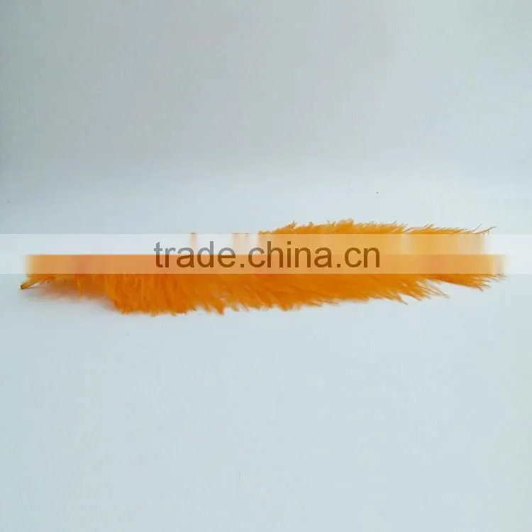 Big Sizes China hot sale ostrich plumage