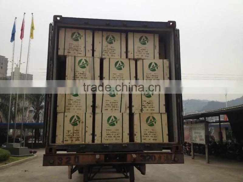 STC Types of Electric Power alternator for Sale