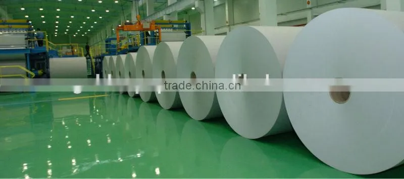 excellent quality competive price beer label paper