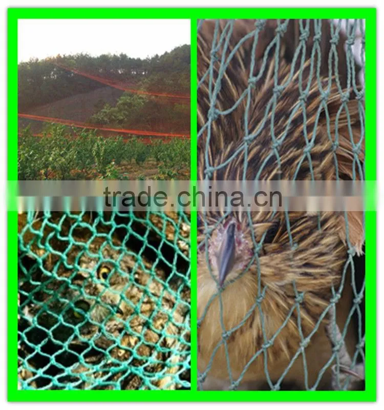 HOT SALE! vineyard used extruded PE anti bird nets for catching birds