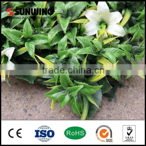 decorative topiary boxwood flower grape vine plant