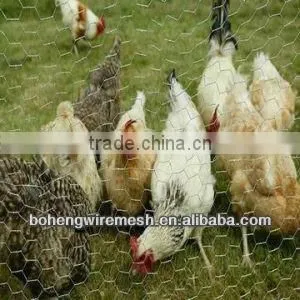 0.56mm Hexagonal Chicken Mesh