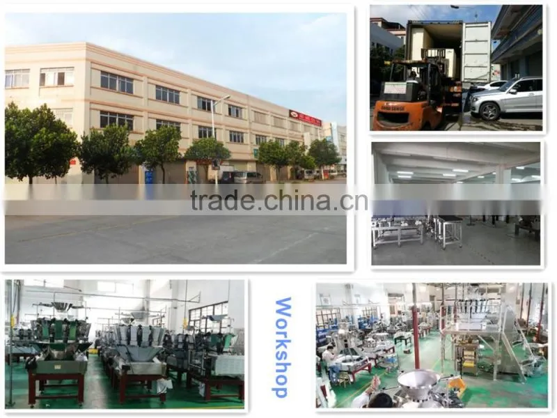 SW-P420 Pillow Bag Peanuts Packaging Machine