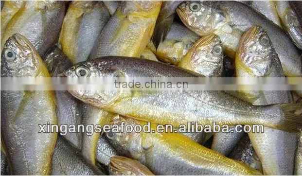 seafood Yellow Croaker