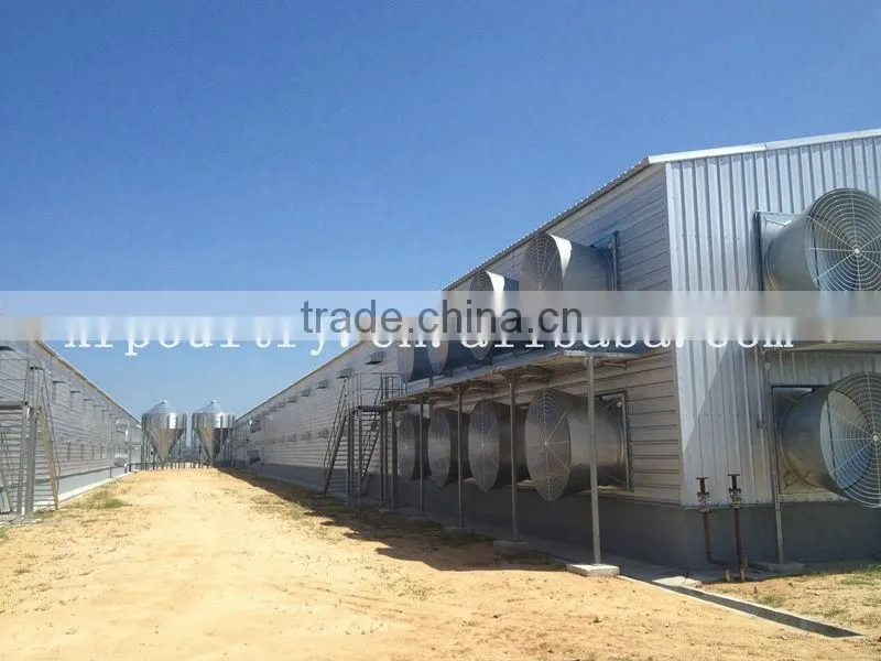 Professional high quality steel poultry shed/house for broiler