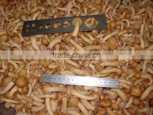 IQF nameko