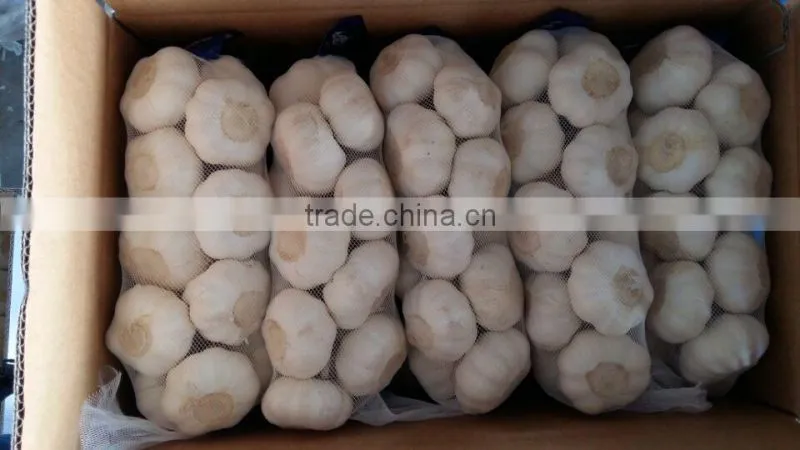 Laiwu 5.5 natural white fresh garlic